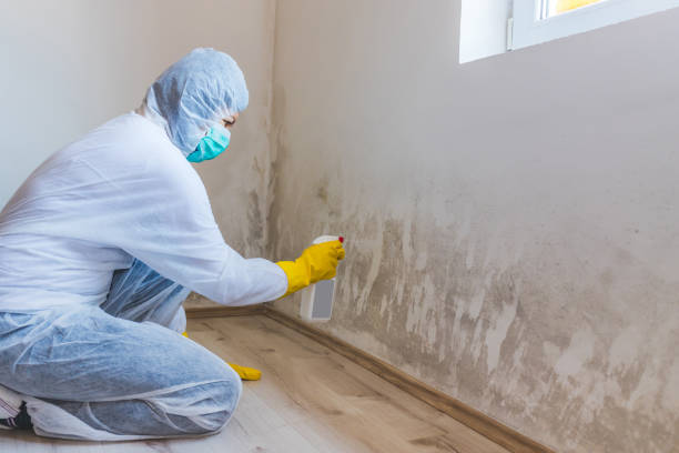 Licensed Mold Remediation service in Gibbstown, NJ - 24 Hour Mold Removal