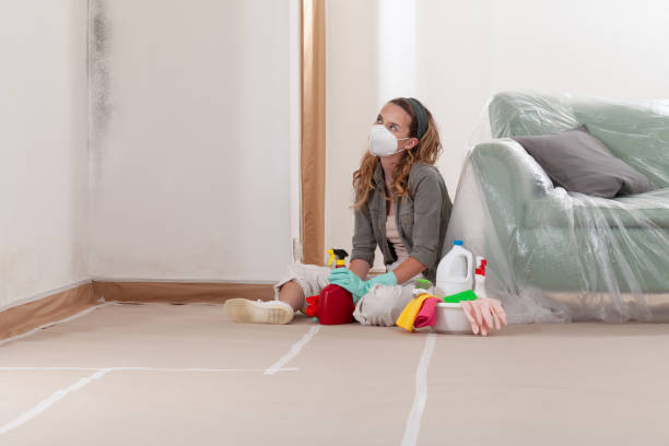 Reliable Mold Remediation contractor in Gibbstown, NJ by 24 Hour Mold Removal